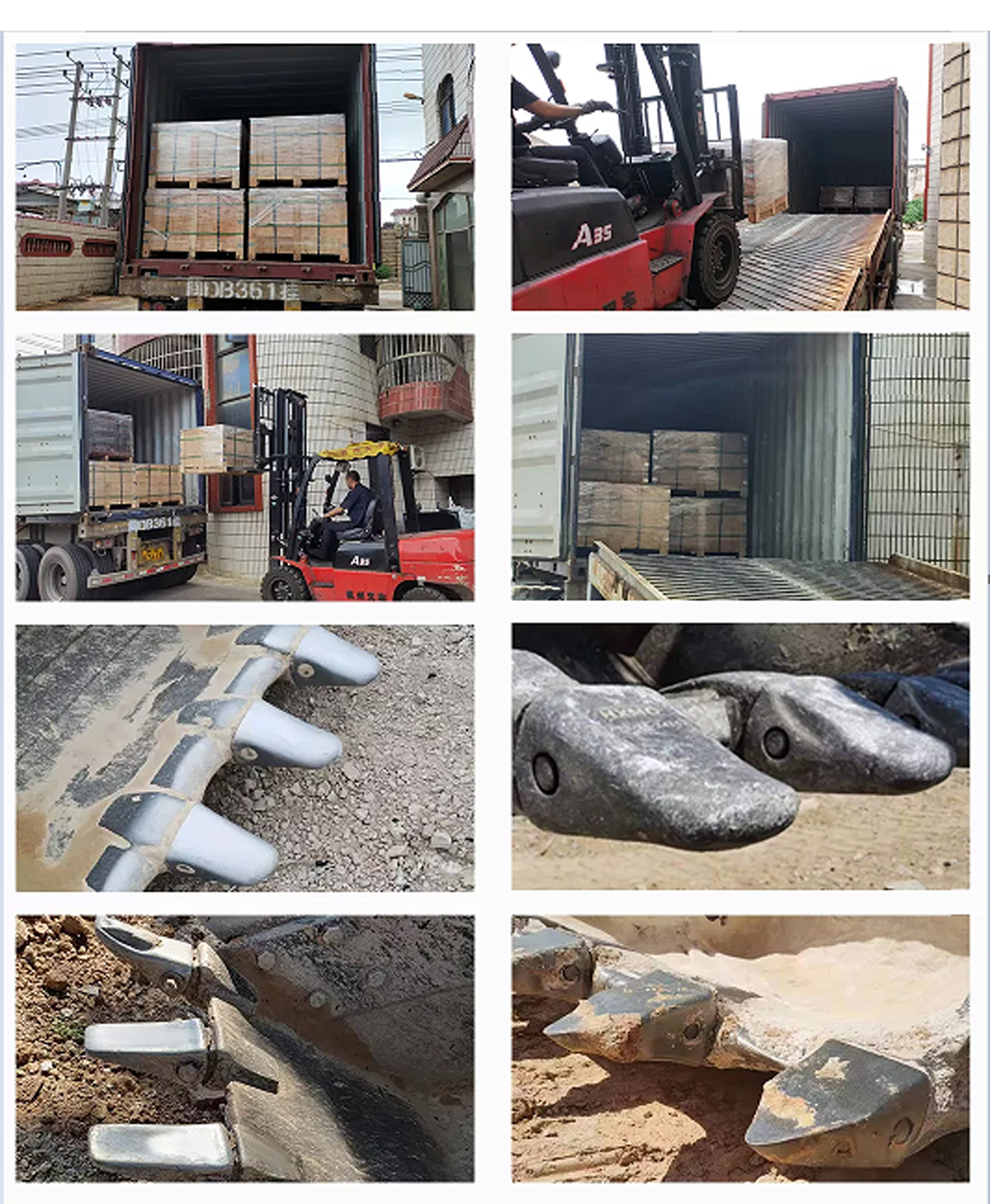 دلو تزوير الذهب ملاحظات الأسنان