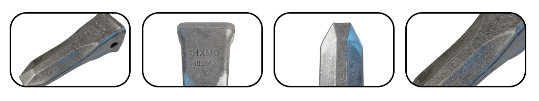 نقطة الأسنان حفارة النمر