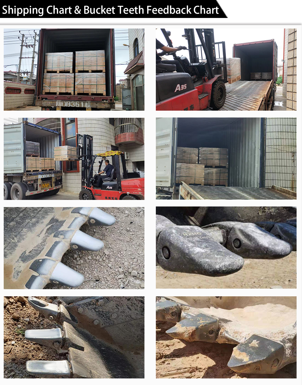 نقطة أسنان فولفو تايجر