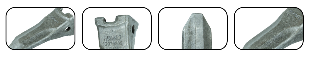 الأسنان مقابل-بوكتيت